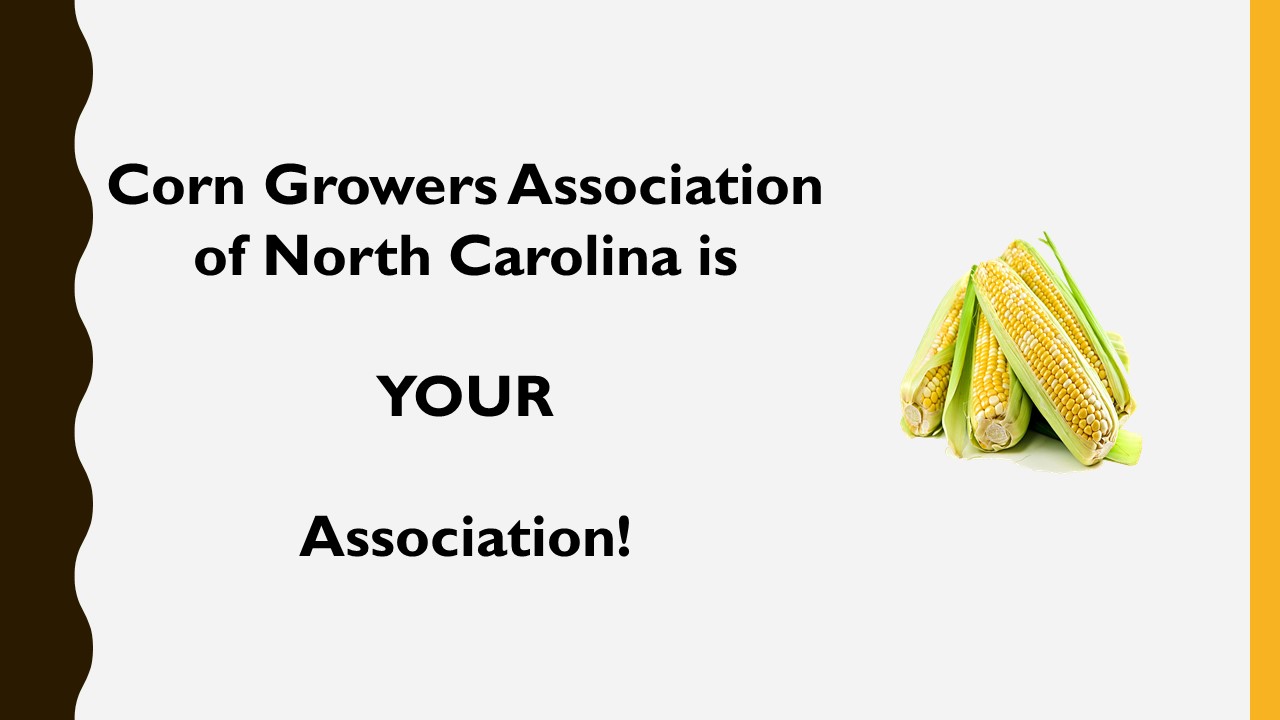 the corn growers association of north carolina